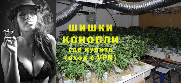 скорость Ельня