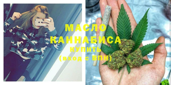 скорость Ельня