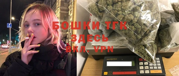 скорость Ельня