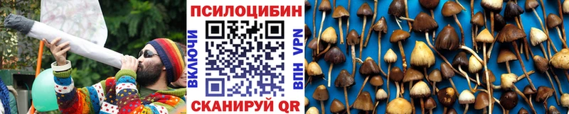 Галлюциногенные грибы GOLDEN TEACHER  Купить где  Кедровый 