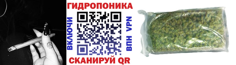Бошки Шишки MAZAR  Купить где  Кедровый 